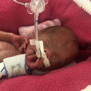 Team Page: Etta's team